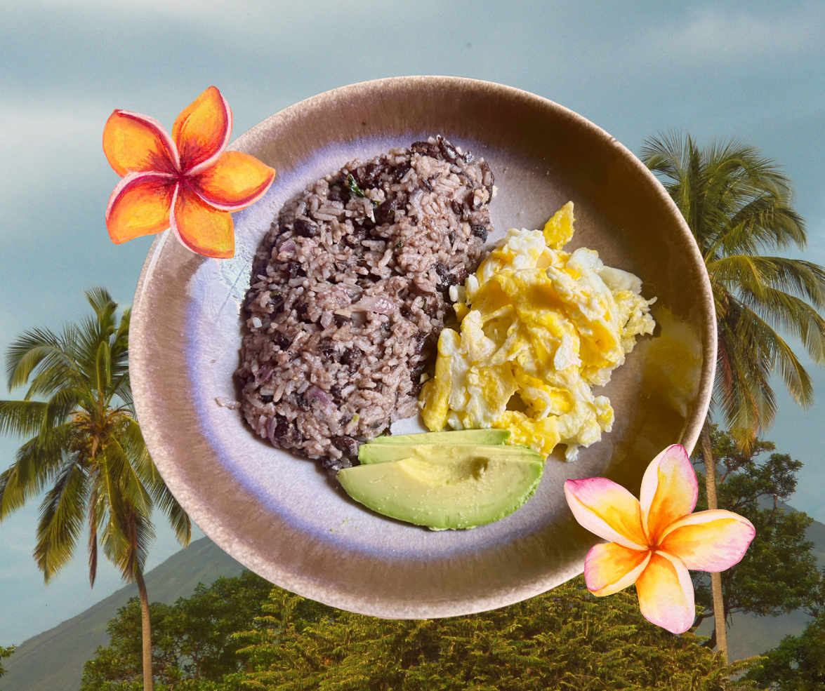 A plate with gallo pinto, eggs and avocado with palm trees in the background and flowers in the foreground