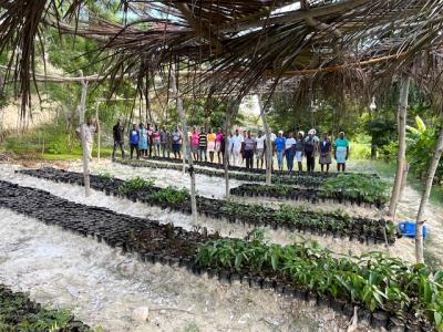 Gouin Tree Nursery